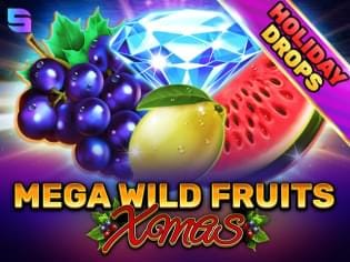 Mega Wild Fruits - Xmas game screenshot